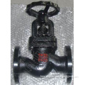 GOST PN25 DN50 Ductile Iron Flanged Globe Valve (J41T-25)